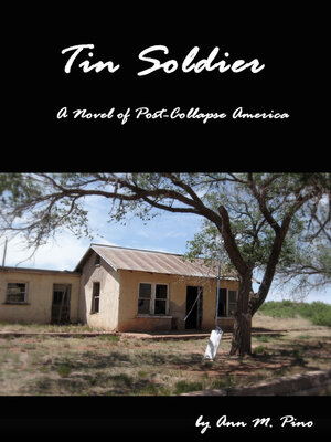 cover image of Tin Soldier